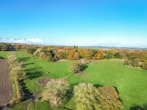 Photo 40- click for photo gallery